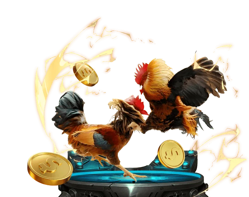 Hướng dẫn luật chơi poker cơ bản